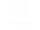 Zettydesigns